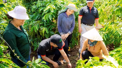 Nông nghiệp tái sinh giúp cà phê Việt vượt “rào cản xanh”