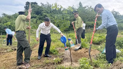 Trồng rừng cảnh quan “Vì một màu xanh bền vững” tại Khu di tích Ban Tổ chức Khu ủy - Khu V