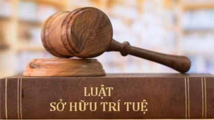 Cái gốc vẫn từ con người
