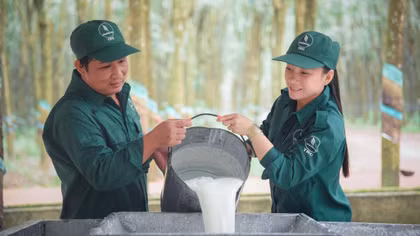 VRG mở rộng động lực tăng trưởng trong giai đoạn mới
