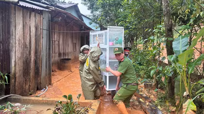 Đêm trắng ở vùng rốn lũ