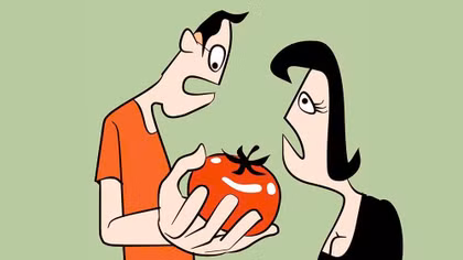 Nhà có vợ lười