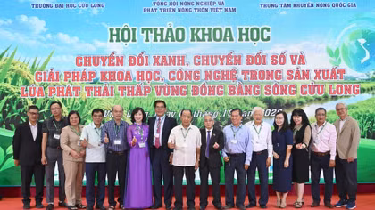 Tạo giá trị mới cho hạt gạo Đồng bằng sông Cửu Long