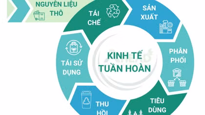 Tiêu chuẩn ISO 59000 tạo nền tảng cho chuyển đổi sang kinh tế tuần hoàn