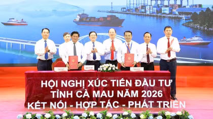 Cà Mau tổ chức Hội nghị xúc tiến đầu tư năm 2026