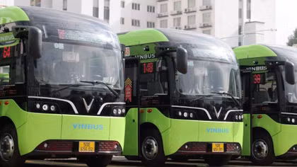 Tháo gỡ để phát triển xe buýt nhỏ lưu động tại TP Hồ Chí Minh