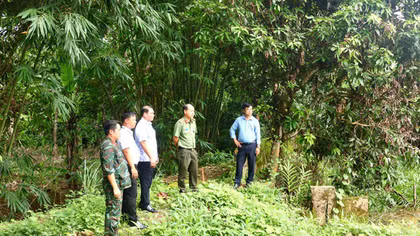 Khảo sát thực địa vị trí có thông tin là nơi chôn cất các liệt sĩ Trung đoàn Pháo binh 28