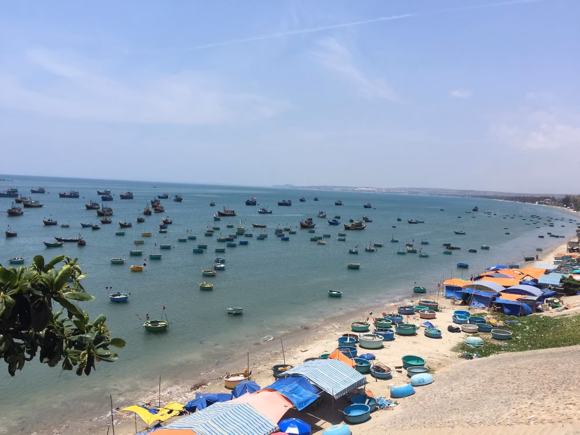 z4076265843483-b9f4debf1e594af7024255fb01fc2740.jpg