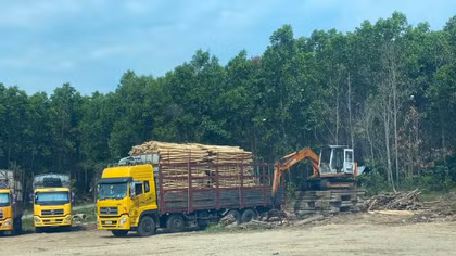 “Tuýt còi” 7 trạm cân keo tràm không phép của một xã
