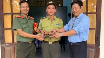 Công an xã bàn giao cá thể rùa quý hiếm do người dân giao nộp