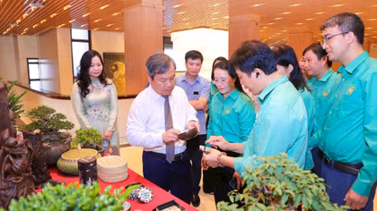 Bảo đảm sinh kế lâu dài cho nông dân khi thu hồi đất