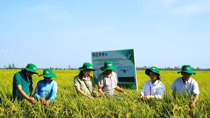 Bài 2: Cam kết về một nền nông nghiệp minh bạch
