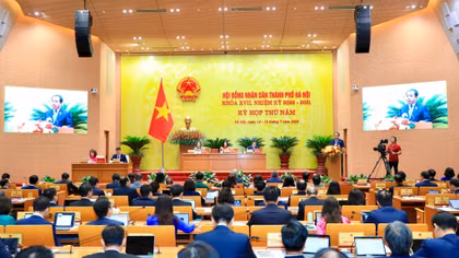 Làm rõ thực trạng hoa quả nhập khẩu không rõ nguồn gốc xuất xứ