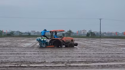 Bài 1: Lúa phát thải thấp – “Xanh hóa” từ đồng ruộng