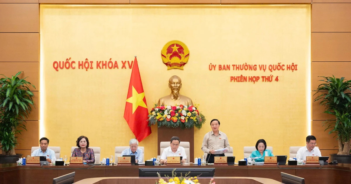 Bài viết