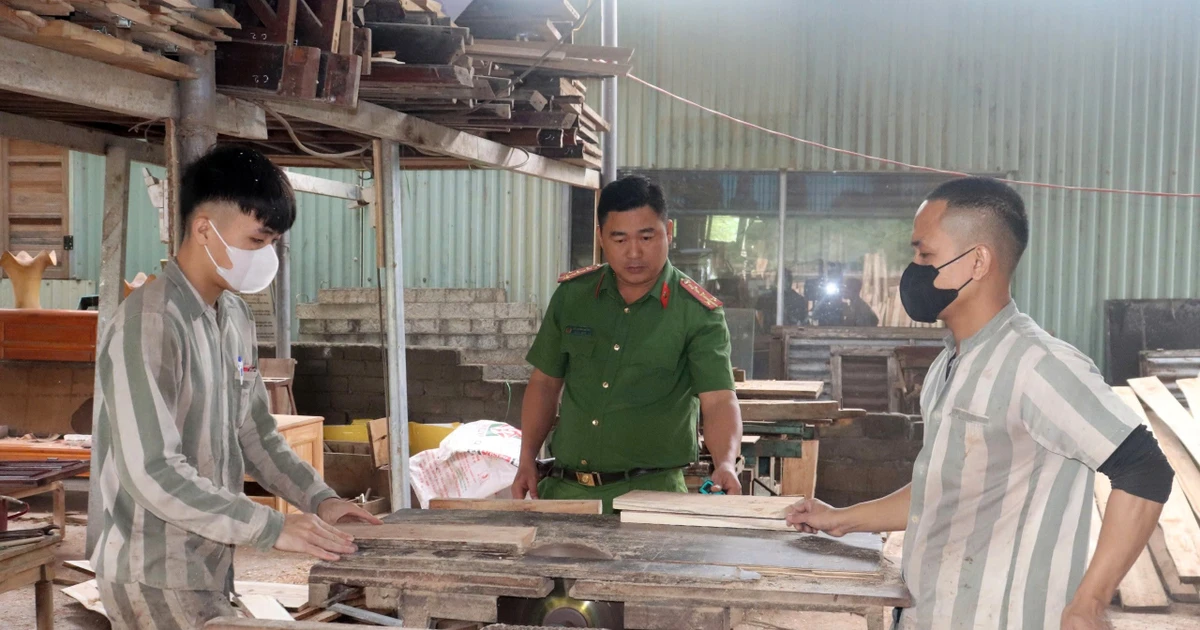 cand.vn