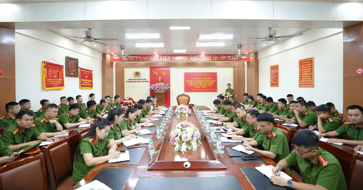 Bài viết