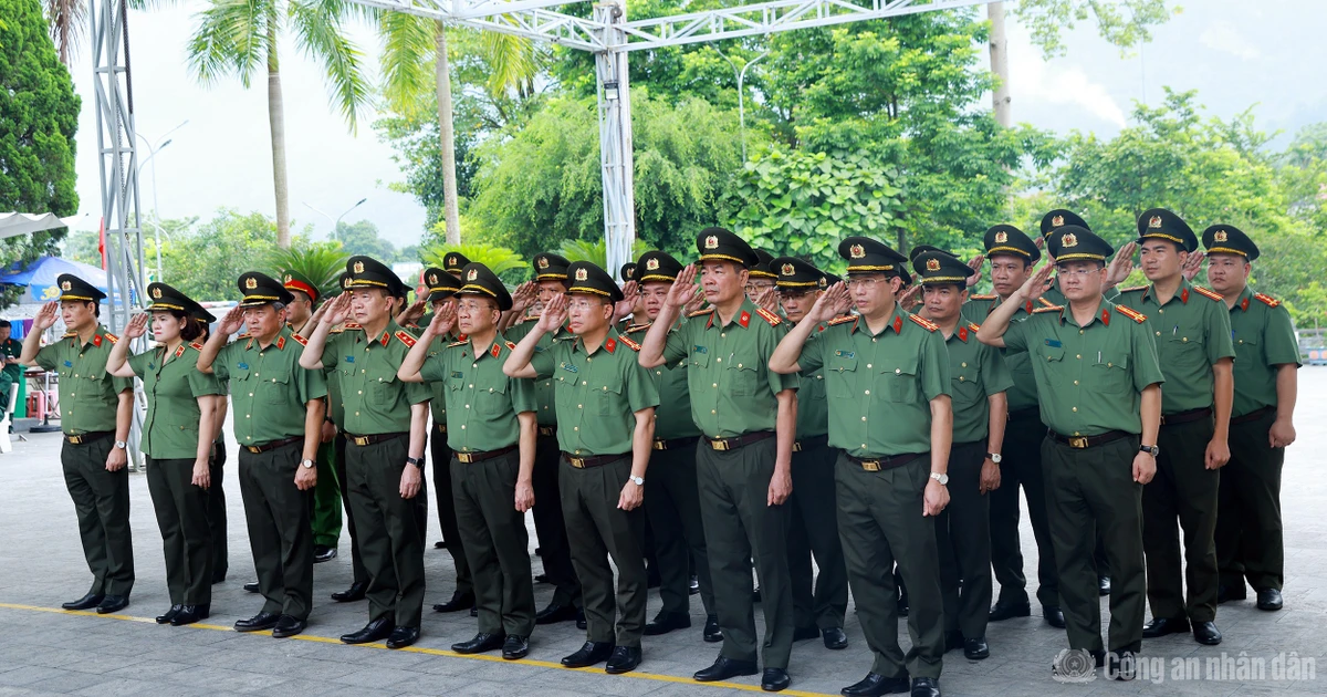 Bài viết
