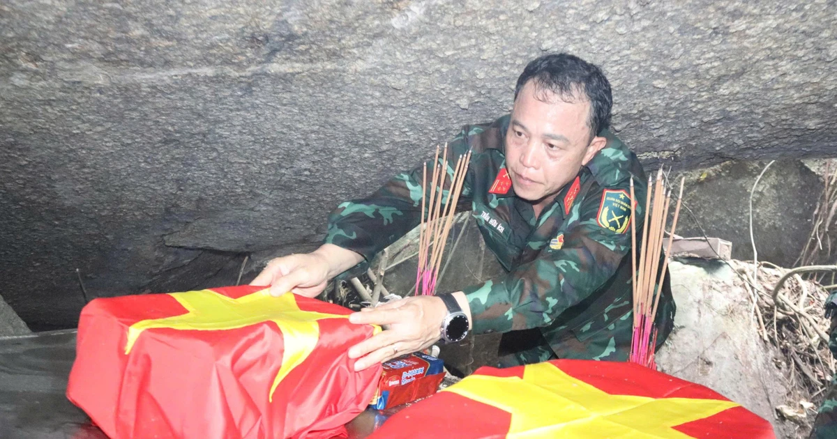 Bài viết