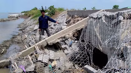 Đại biểu Quốc hội chỉ ra nhiều sai phạm trong quản lý đê điều