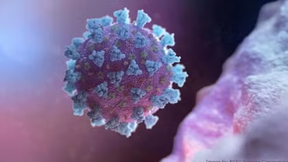 WHO cảnh báo COVID-19 không bao giờ biến mất giống HIV