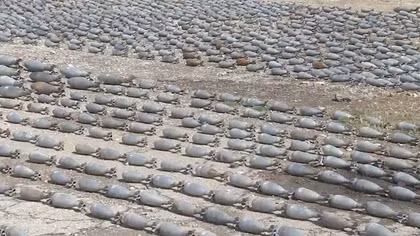 Phát hoảng với kho mìn NATO bị quân đội Syria tịch thu ở Douma
