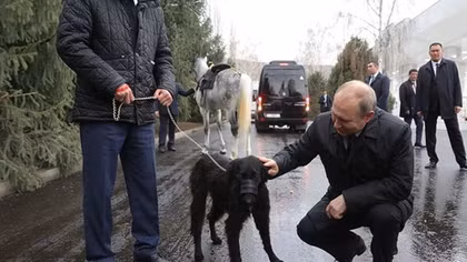 Tổng thống Putin được tặng ngựa, chó quý khi công du Kyrgyzstan