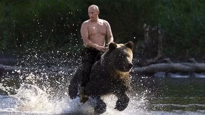 Tổng thống Putin hé lộ về bức ảnh cưỡi gấu gây bão dư luận