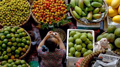 Đại biểu Quốc hội "hiến kế" phát triển ngành nông nghiệp