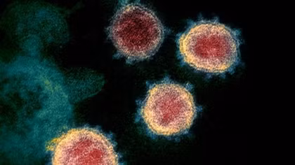 Virus SARS-CoV-2 có 8 biến chủng, phát hiện cực mới về cơ chế lây lan