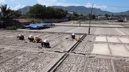 100 triệu USD để cải thiện năng suất nông nghiệp vì hạn hán