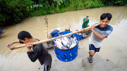 Ngành hàng cá tra tăng trưởng vượt bật trong năm 2018