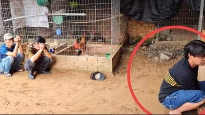 “Trùm đá gà” Hoàng Quí “tái xuất giang hồ” đã bị tóm gọn