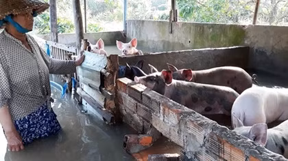 Người dân Cần Thơ khốn khổ vì triều cường