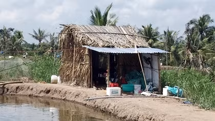 Ba người tử vong trong chòi tôm nghi trúng độc