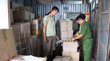 Phát hiện một cơ sở đóng gói trà giả thương hiệu nổi tiếng