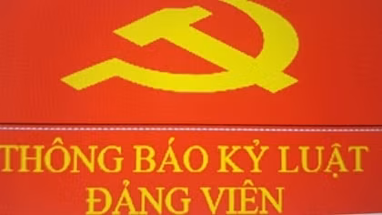 Phó Cục trưởng Cục Hải quan tỉnh An Giang bị kỷ luật khiển trách