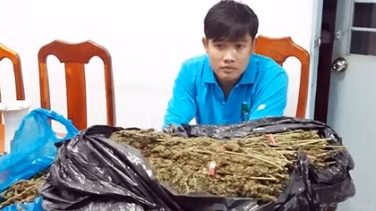 Vận chuyển hơn 10kg cần sa khô bằng xuồng máy