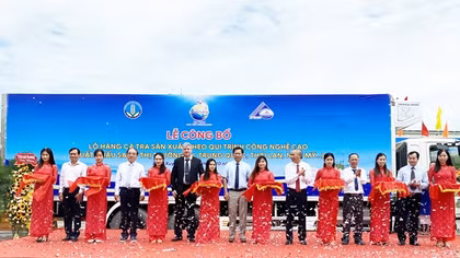 An Giang xuất khẩu cá tra sản xuất theo công nghệ cao sang thị trường "khó tính"