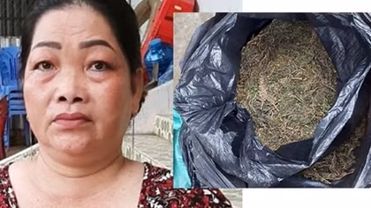 Sang Campuchia mua cần sa mang về Việt Nam bán kiếm lời
