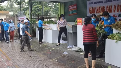 Hàng trăm người dân được nhận rau, củ giá 0 đồng 