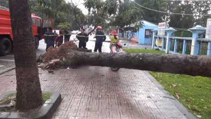 Lốc xoáy quét qua 2 huyện tỉnh Đồng Nai gây thiệt hại nhiều tài sản