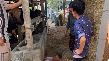Nổ súng tại trường gà, 4 người tử vong