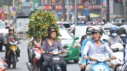 Hối hả đưa xuân về nhà