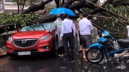 Hàng loạt cây xanh ngã đổ, đè người trong cơn mưa to