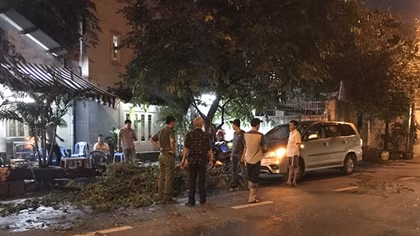 Cây trứng cá cổ thụ đổ ập vào xe 7 chỗ giữa lúc trời khô ráo