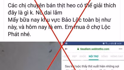 Bị phạt 10 triệu đồng vì tung tin sai sự thật thịt heo nhiễm sán 