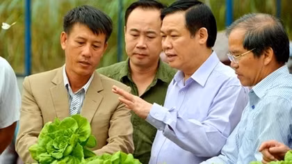 Phó Thủ tướng Vương Đình Huệ thăm HTX nông nghiệp ở Lâm Đồng