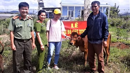Công an huyện Đơn Dương trao bò cho hộ nghèo