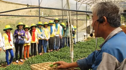 101 đại sứ hàng Việt tí hon lên Đà Lạt học làm nông dân